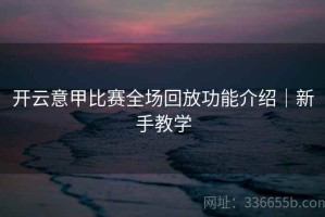 开云意甲比赛全场回放功能介绍｜新手教学