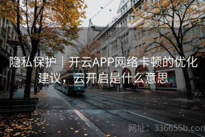 隐私保护｜开云APP网络卡顿的优化建议，云开启是什么意思