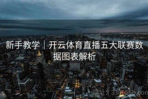 新手教学｜开云体育直播五大联赛数据图表解析