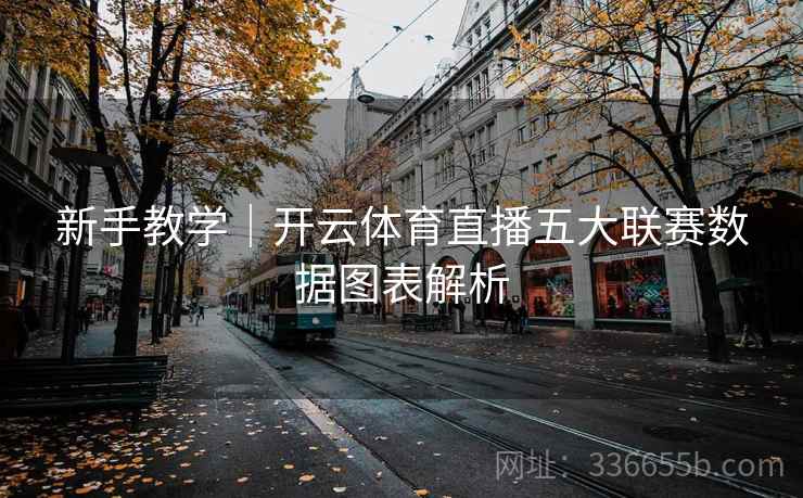 新手教学｜开云体育直播五大联赛数据图表解析